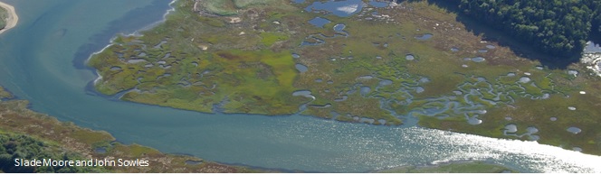 Aerial view of Little River Marsh, photo by Slade Moore & John Sowles