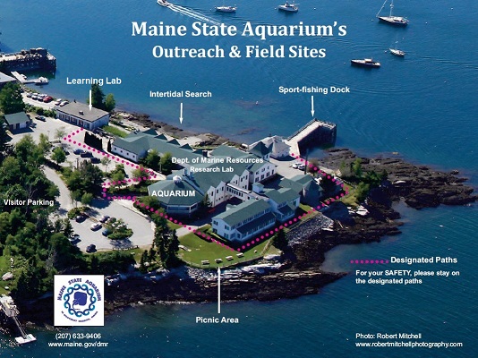 Aerial view of the Maine State Aquarium and DMR campus