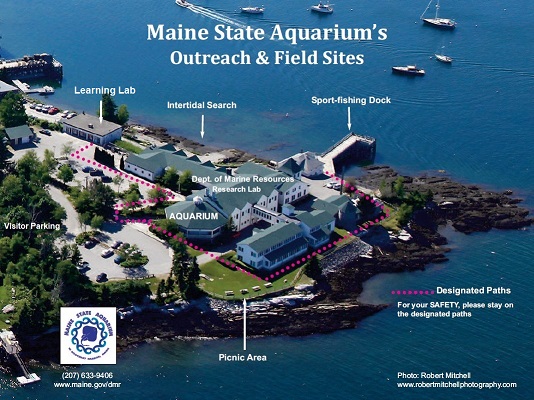 aerial view of DMR Boothbay Harbor campus