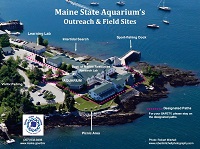 Aerial view of Maine State Aquarium and DMR campus
