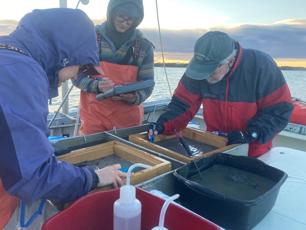 Collecting small animals from sediment samples aboard the boat