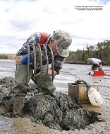 Maine worm diggers from Anglers Journal