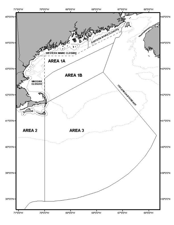 Map of Gulf of Maine herring management areas
