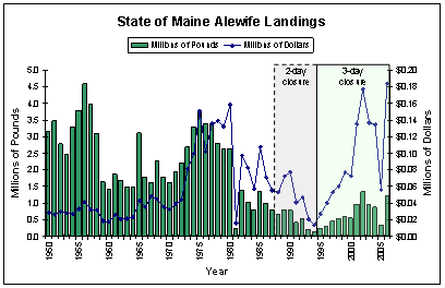 graph of alewife landings