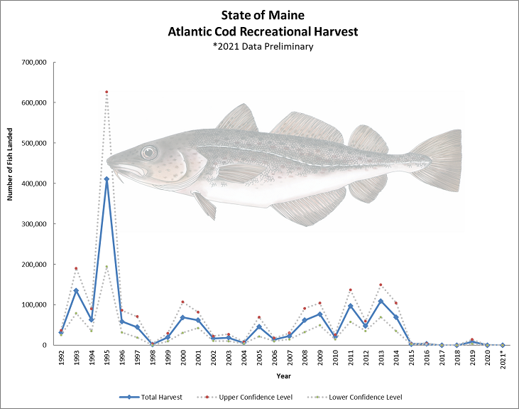 Graph of annual numbers of cod landed in 1992 to 2021 with a peak of about 400,000 in 1995