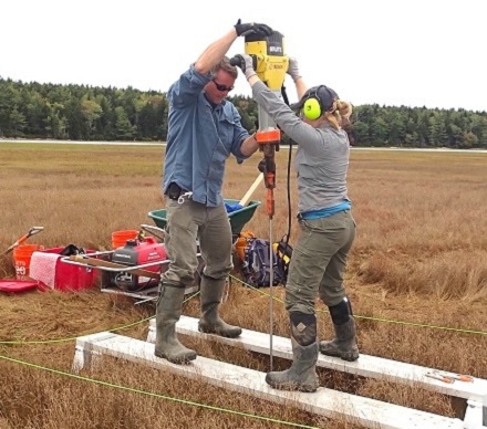 Installing a deep steel rod for monitoring tidal marsh water levels, photo by Kristen Puryear