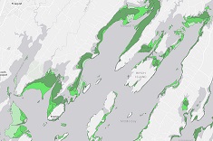 Map of eelgrass beds in Maquoit Bay, 1990s