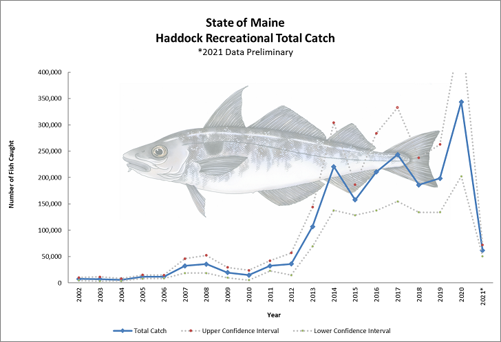 Graph of numbers of haddock caught in 2002 to 2021 peaking at about 350,000 in 2020 declining to about 60,000 in 2021