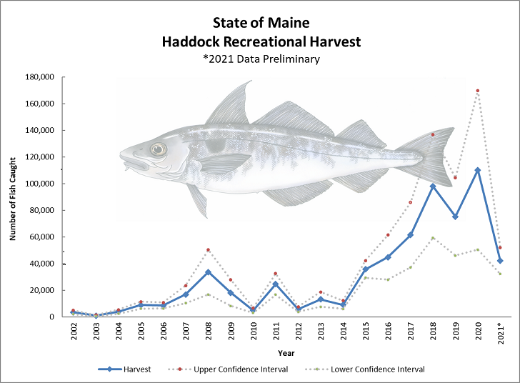 Graph of numbers of haddock landed in 2002 to 2021 peaking at about 110,000 in 2020 declining to about 45,000 in 2021