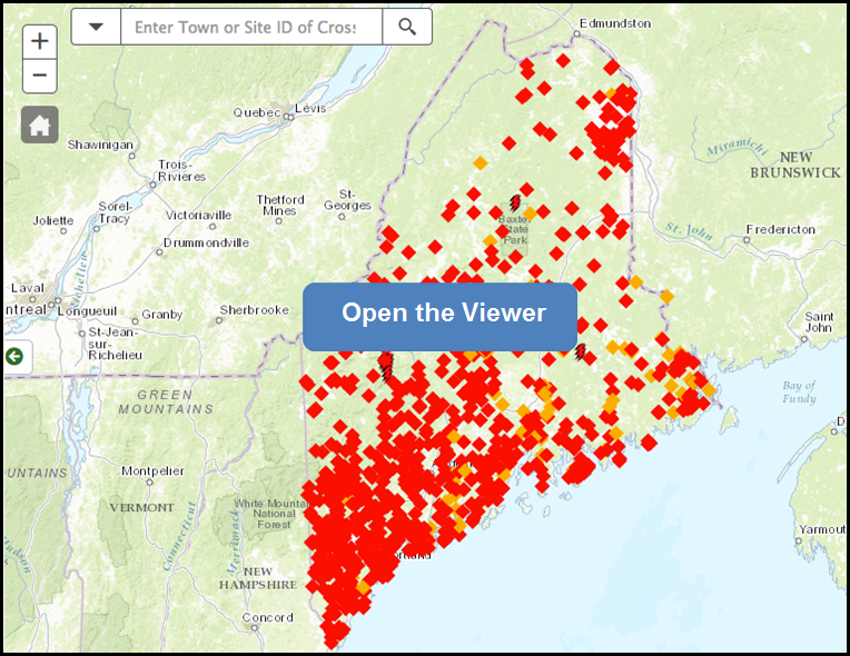 open viewer