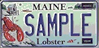 License Plate