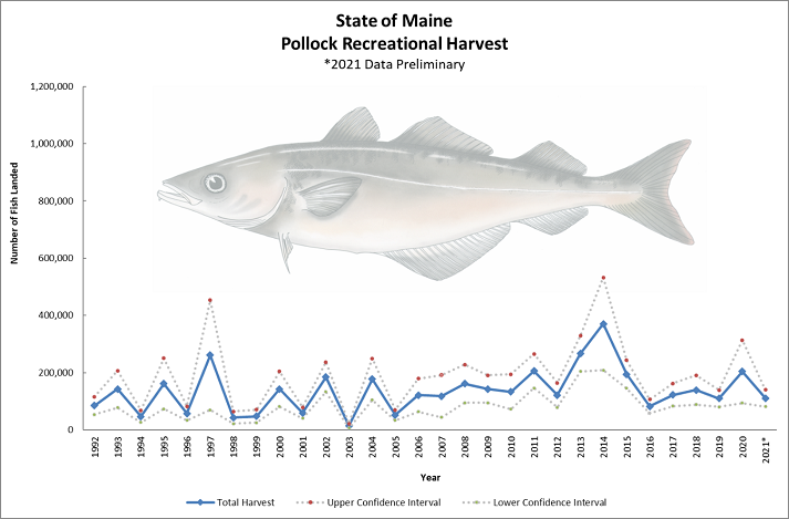 Graph of annual numbers of pollock landed in 1992 to 2021, peaking at over 300,000 in 2014