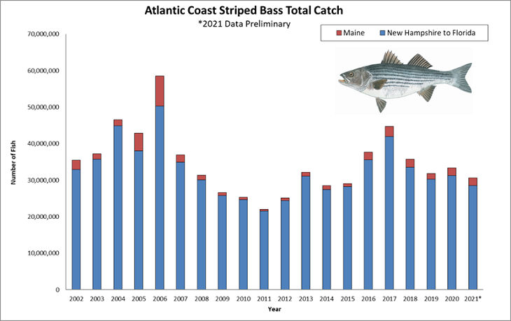 Graph of Maine catches compared with other Atlantic coast states 2002 to 2021; highest coastal total was almost 60 million in 2006