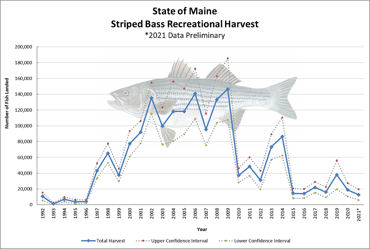Graph of yearly total numbers of striped bass landed from 1992 to 2021, peaking at almost 150,000 in 2009