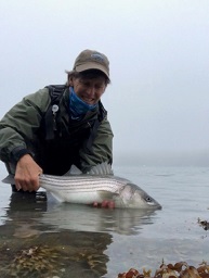 Angler in water holding striper