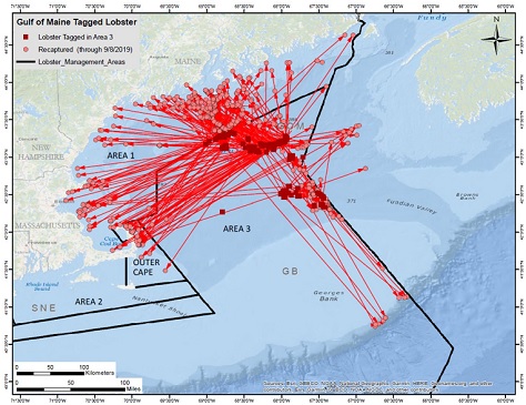 Map of tagging locations and recaptures in Area 3