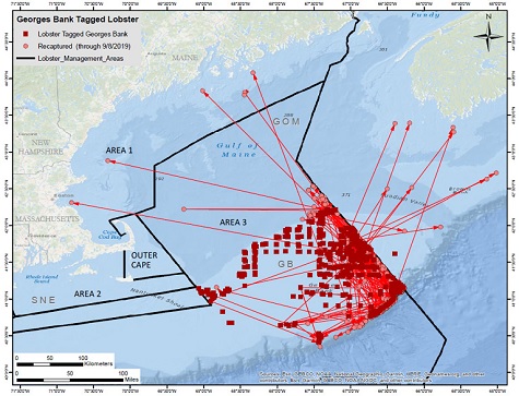 Map of tagging locations and recaptures in Georges Bank area