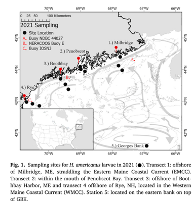 2021 Larval Survey