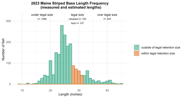 2023 Maine Striped Bass Length Frequency