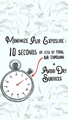 Minimize air