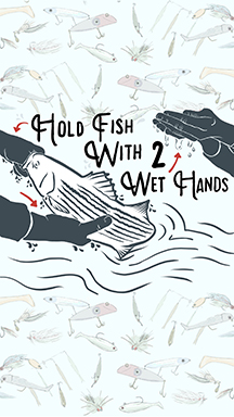Two wet hands