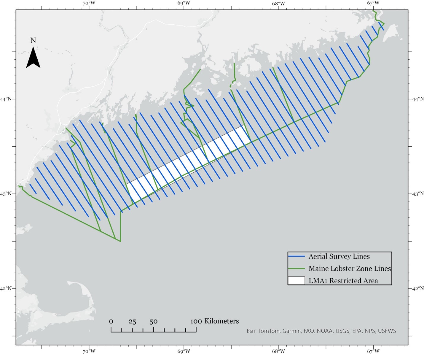 Vessel Survey Map