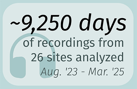 Analyzed Days