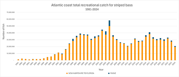 Atlantic Coast Striped Bass 2024 Total Catch