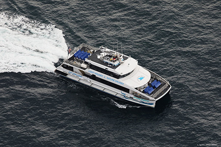 Bar Harbor Whale Watch Vessel