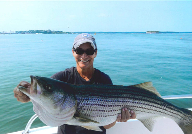Photo of a striped bass