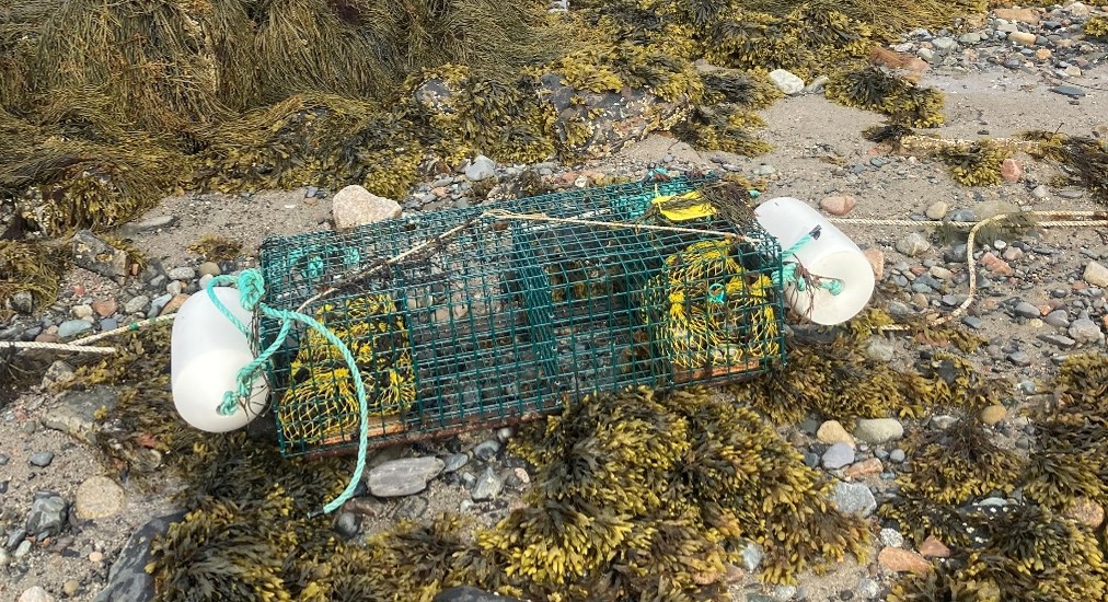 Image of a Lobster Trap