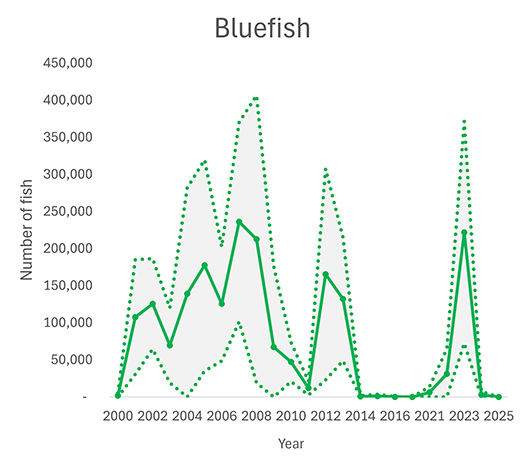 Recreational bluefish catch