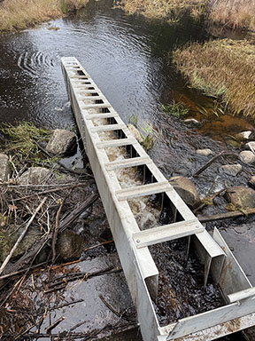 Bog Brook Fishway
