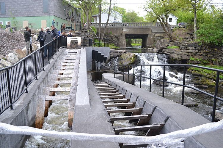 Box Mill Fishway