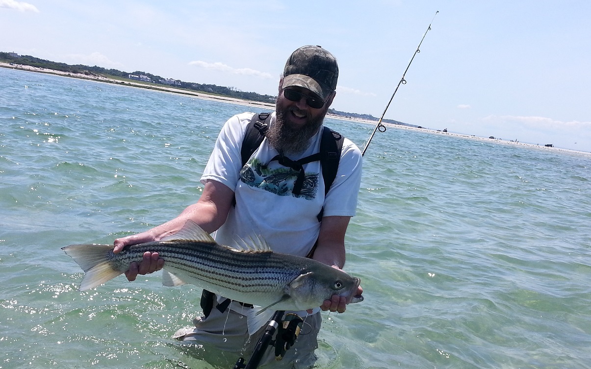 Striped Bass