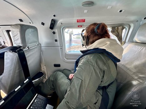 DMR Aerial Survey