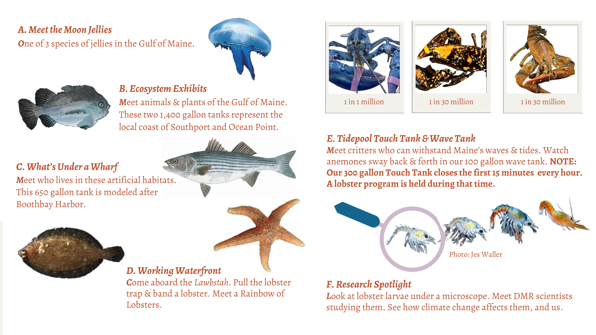 Map of exhibits in the aquarium
