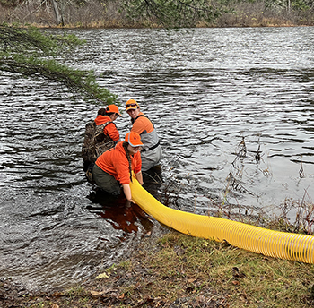 East Branch Atlantic Salmon Release