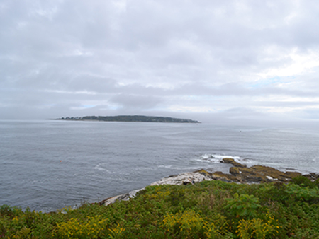 Ecology and the Environment
