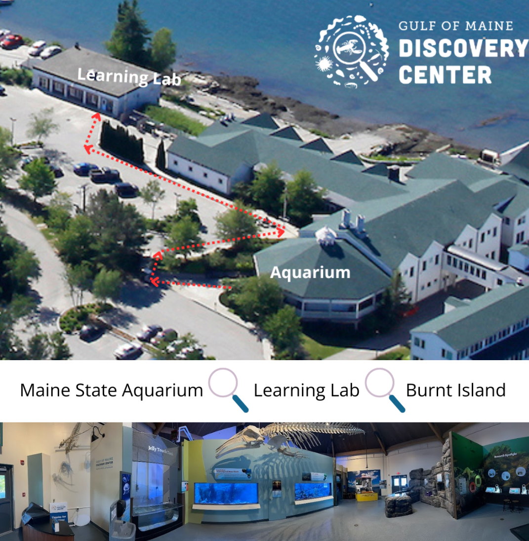 Panoramic view of Aquarium space and Boothbay Lab