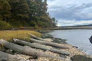 Habitat Restoration