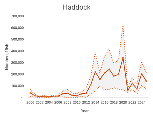 Recreational haddock catch
