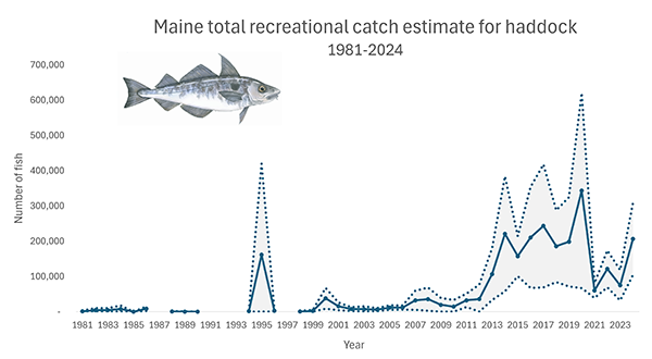 Haddock Total Catch 2024