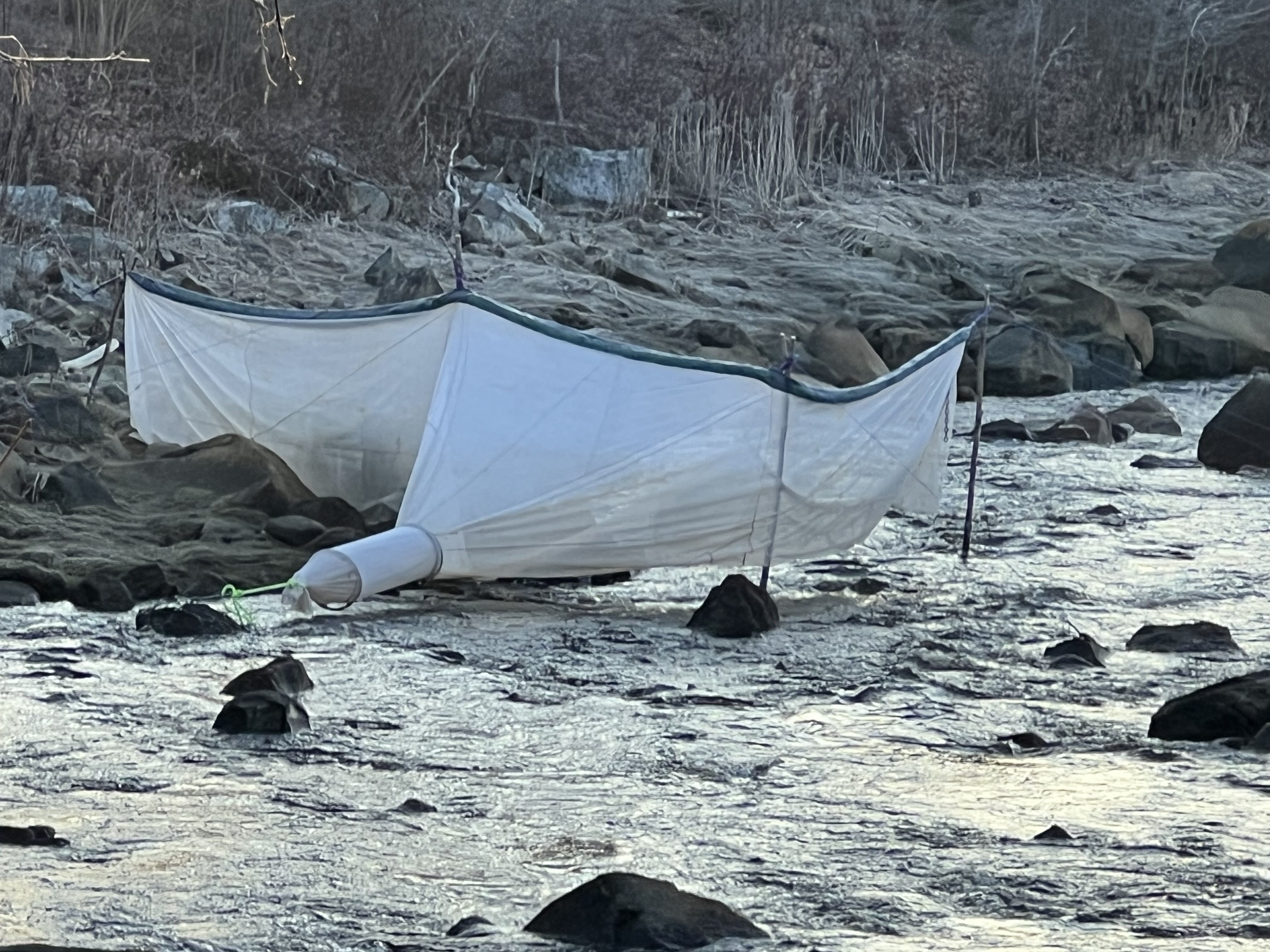 Elver Fyke Net