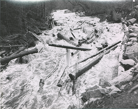 Log drive