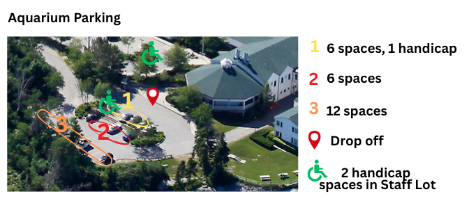Parking map
