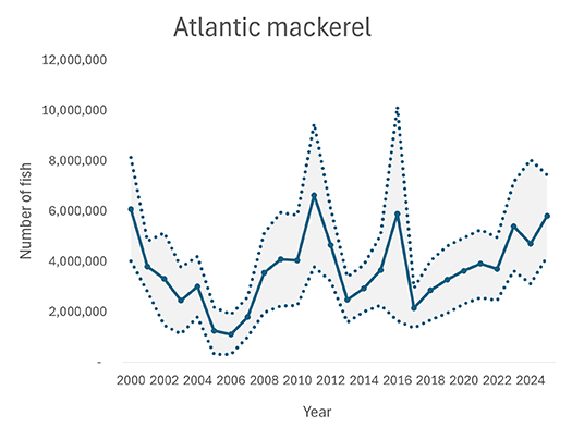 Recreational Atlantic mackerel catch