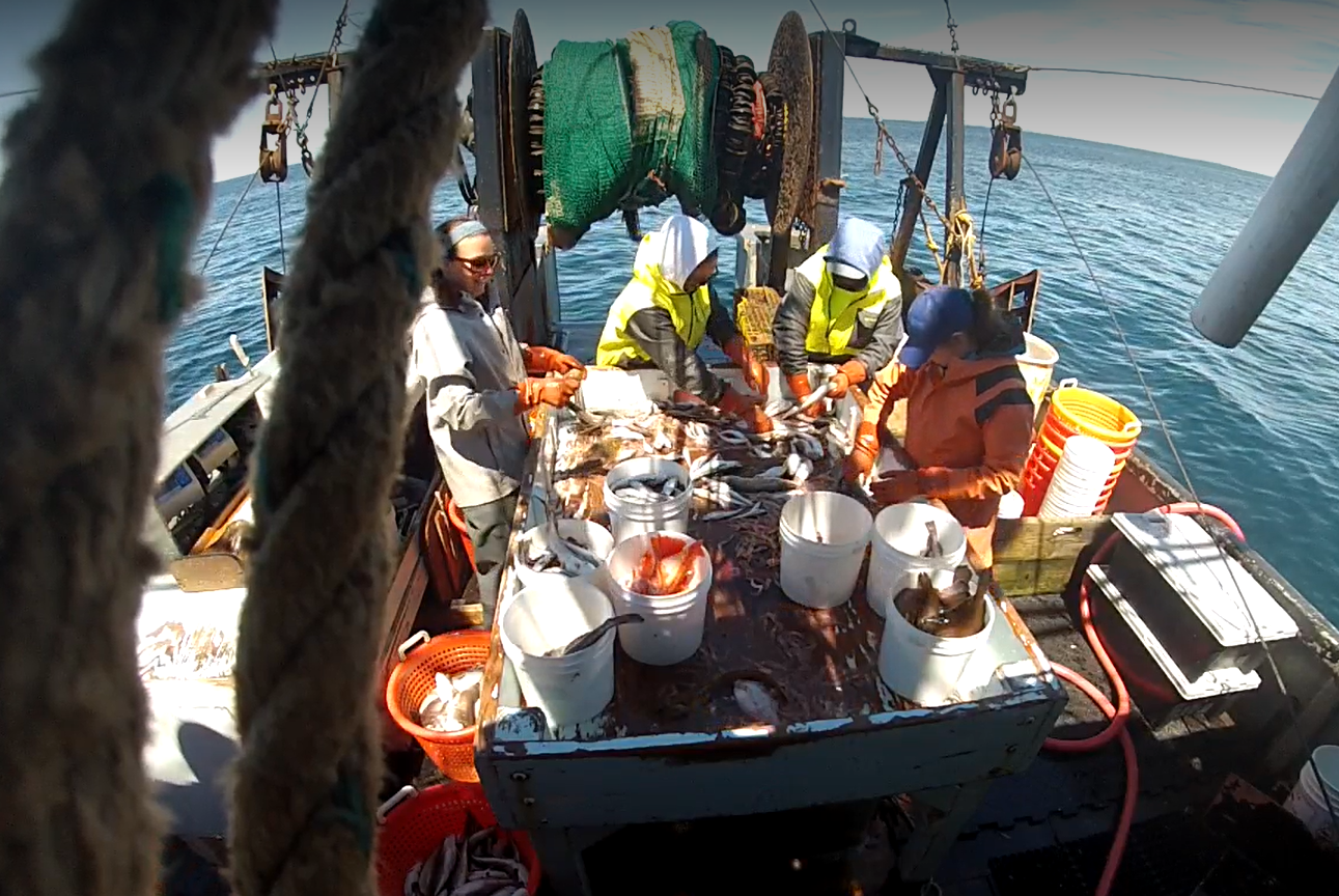 people working on a fishing vessel