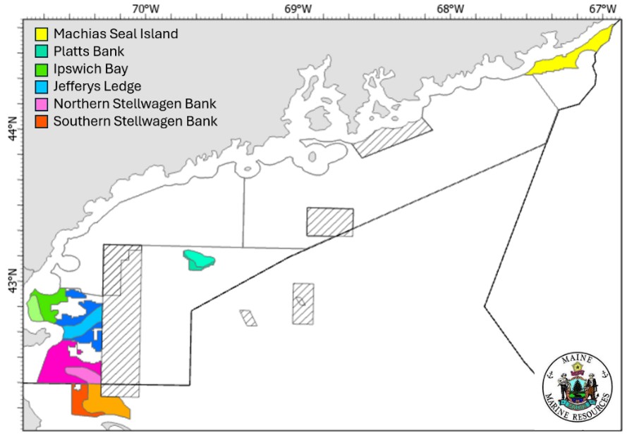 NGOM Survey Map