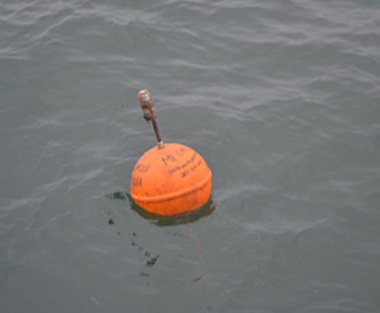 PAM Mooring